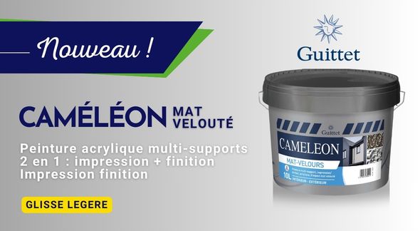 CAMELEON est une peinture acrylique multi-supports